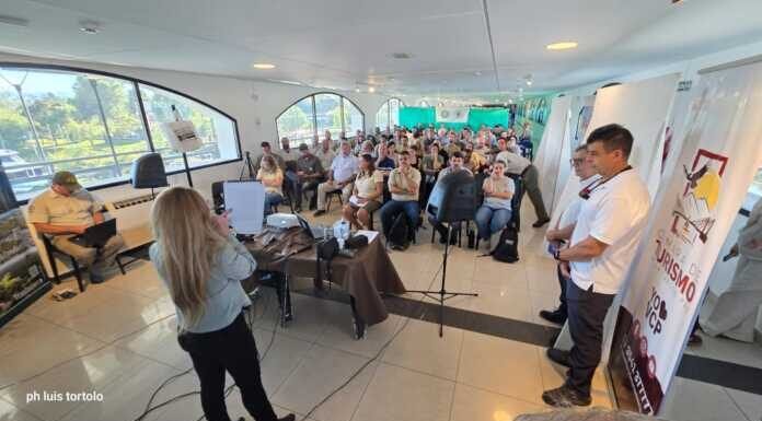 Alerta por el avance del jabalí: especialistas se reunieron para analizar su impacto