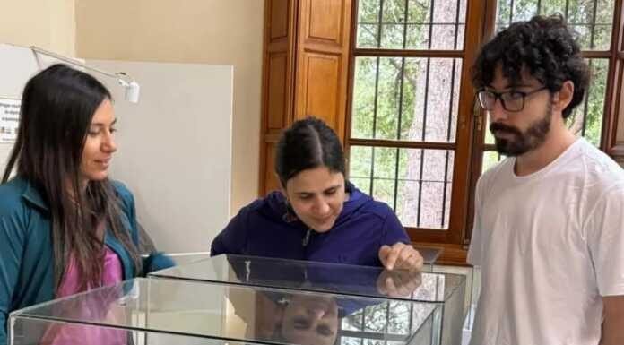 Investigarán en Alemania piezas metálicas prehispánicas del museo Numba Charava