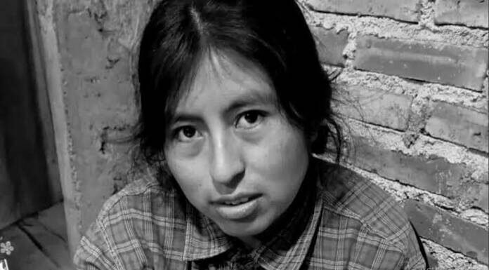 Delicia Mamani: a siete meses de su desaparición, la Justicia Federal investiga una red de trata