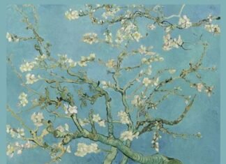 Córdoba y Países Bajos unidos a través de Vincent van Gogh y la muestra “Heart for Art”