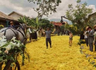 Alex García López, el argentino detrás de la gran apuesta de Netflix: ‘Cien años de soledad’