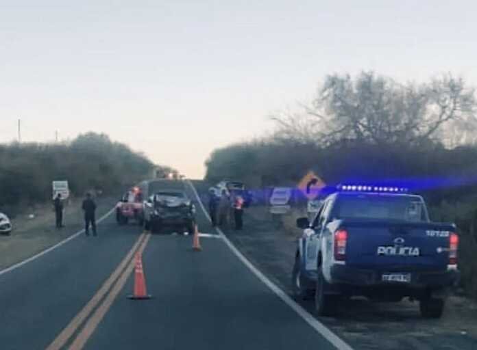 Conductor herido tras embestir a un caballo en la ruta 38