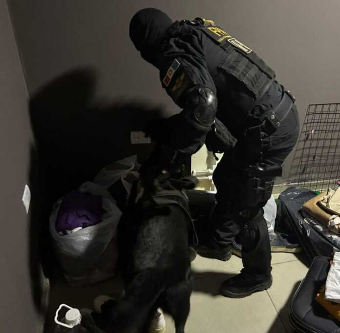 Córdoba: Detuvieron a un extranjero con 1500 dosis de cocaína para su venta