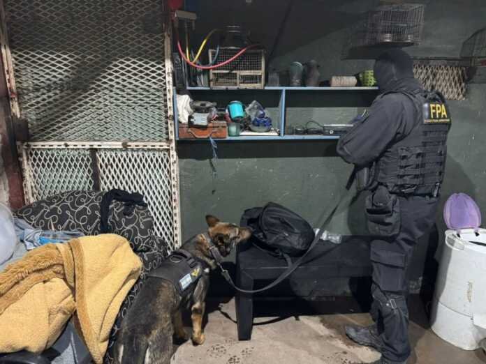 Megaoperativo Antidrogas en Córdoba: 30 allanamientos y 19 detenidos