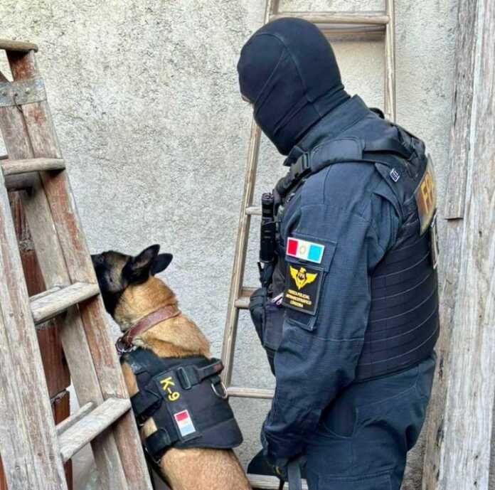 Nueve detenidos en Córdoba tras desbaratar una banda narco que operaba en la zona Noroeste de la capital