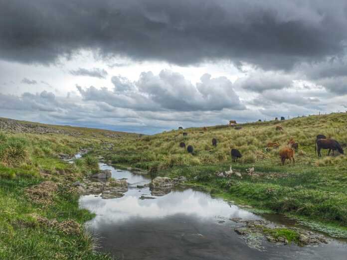 Cuánto llovió en el Valle de Punilla y las sierras: ¿crecerán los ríos?